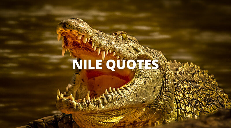 NILE QUOTES featured