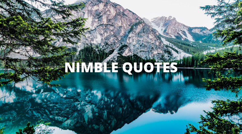 NIMBLE QUOTES featured