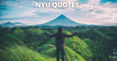 NYU Quotes Featured
