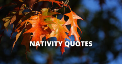 Nativity quotes featured