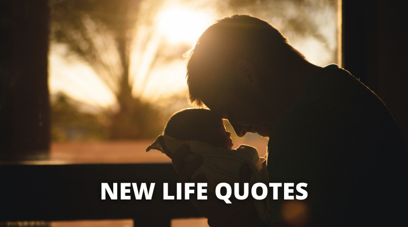 New Life quotes featured