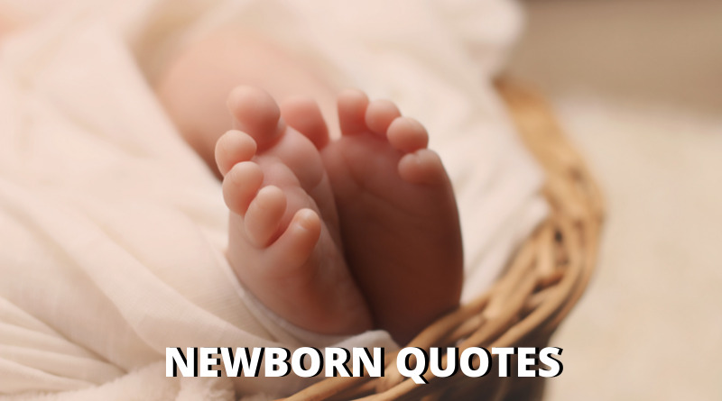 Newborn quotes featured