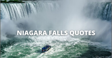 Niagara Falls Quotes featured