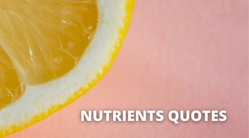 Nutrients Quotes featured.png