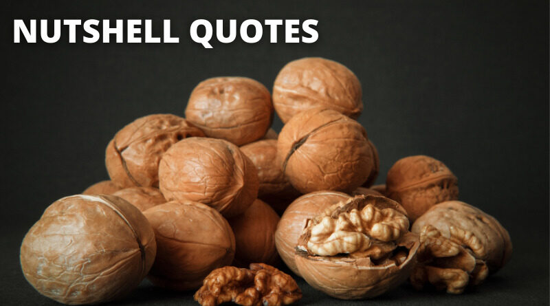 Nutshell Quotes featured.png