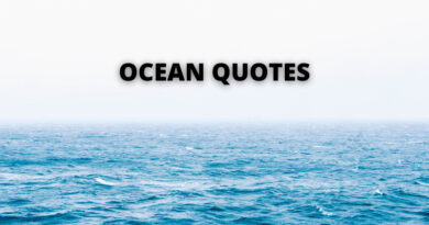 OCEAN QUOTES FEATURE