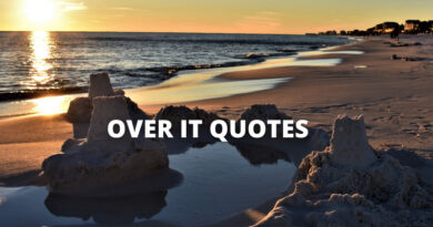 OVER IT QUOTES featured