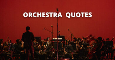 Orchestra quotes featured