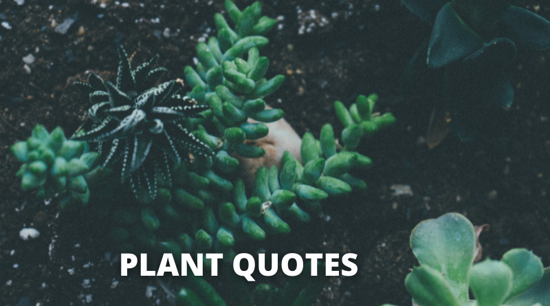 65 Plants Quotes On Success In Life - OverallMotivation