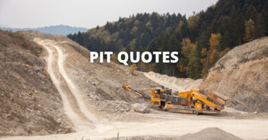 Pit quotes featured