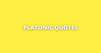 Platonic quotes featured