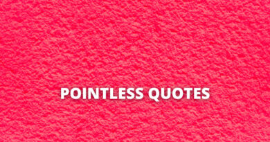 Pointless quotes featured