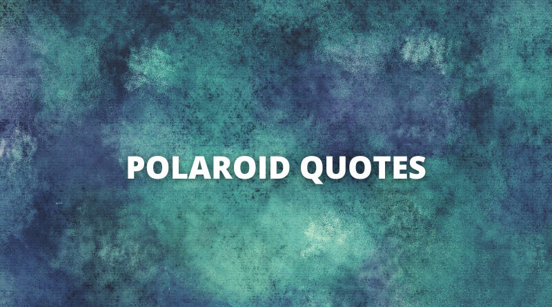 Polaroid quotes featured