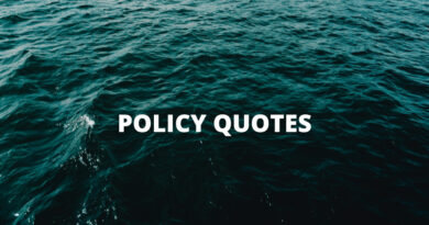 Policy quotes featured