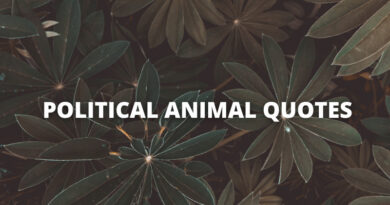 Political Animal quotes featured