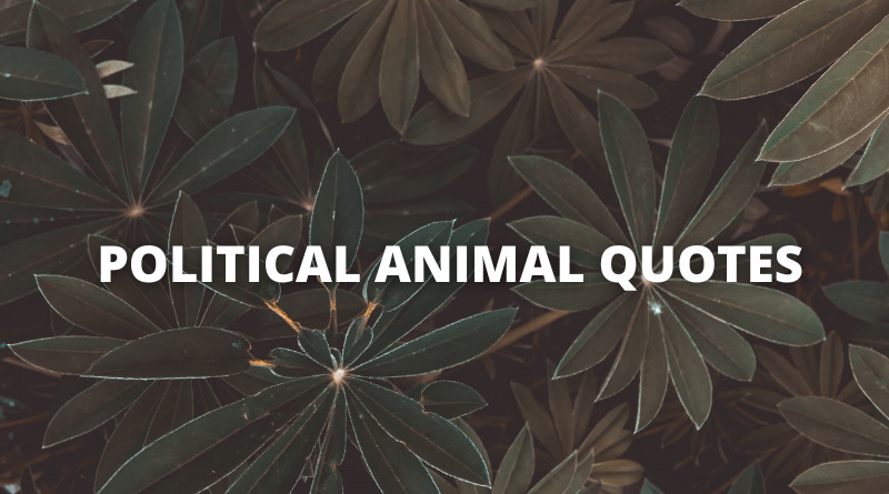 Political Animal quotes featured
