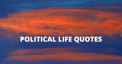 Political Life quotes featured
