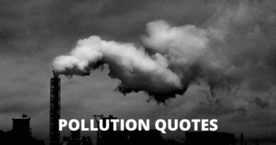 Pollution quotes featured