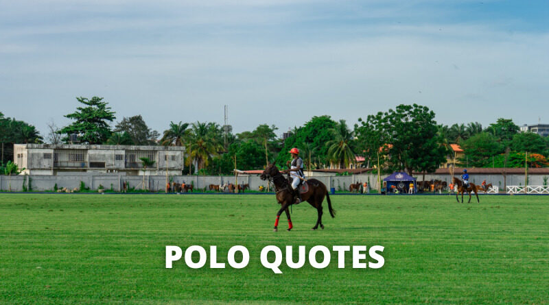 Polo quotes featured