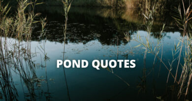 Pond quotes featured