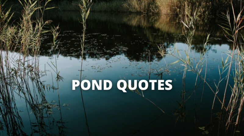Pond quotes featured