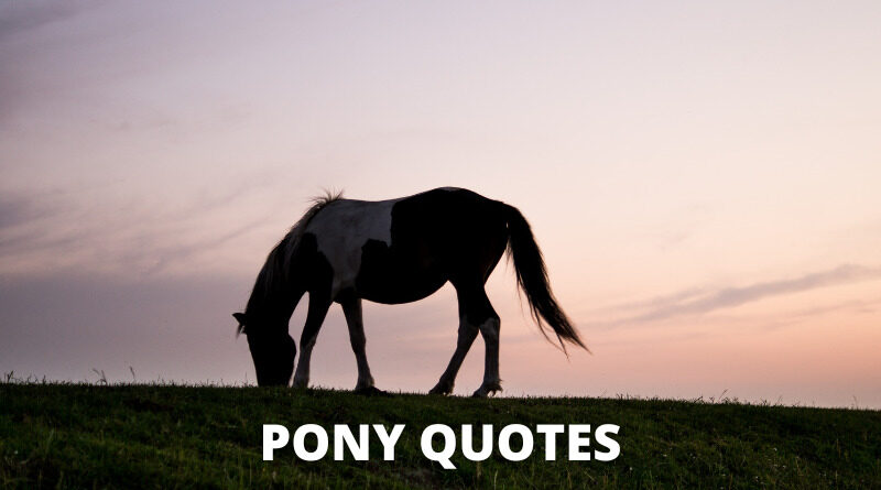 Pony quotes featured