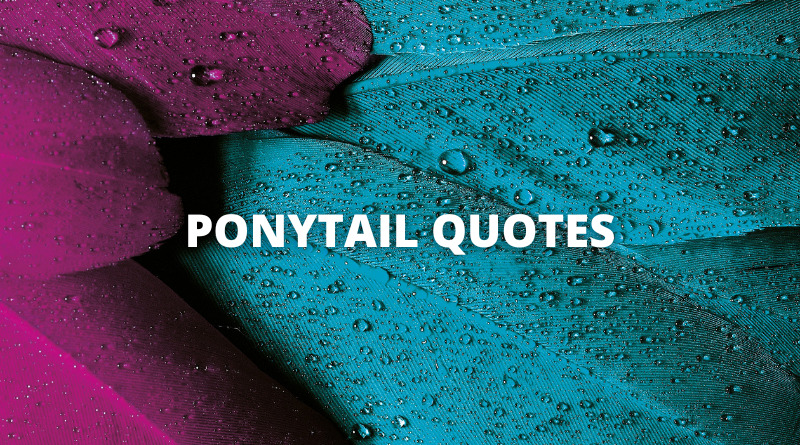 Ponytail quotes featured