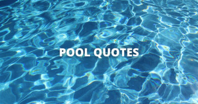 Pool quotes featured