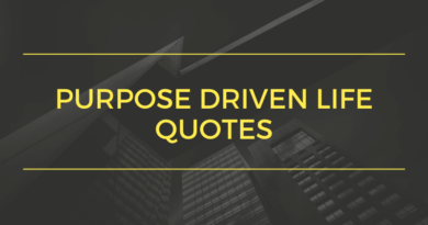 Purpose Driven Life Quotes_Featured