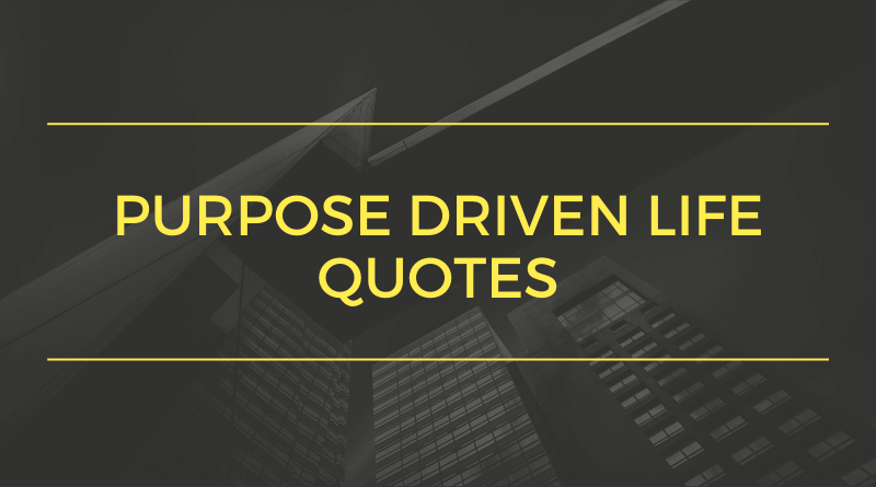 Purpose Driven Life Quotes_Featured