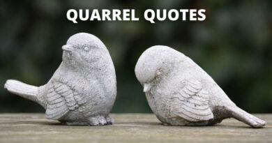 Quarrel quotes featured