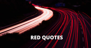 RED QUOTES FEATURE