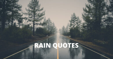 Rain Quotes Features