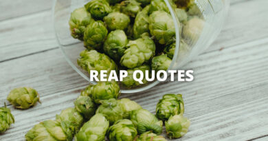 Reap Quotes Featured