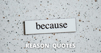 Reason Quotes Featured