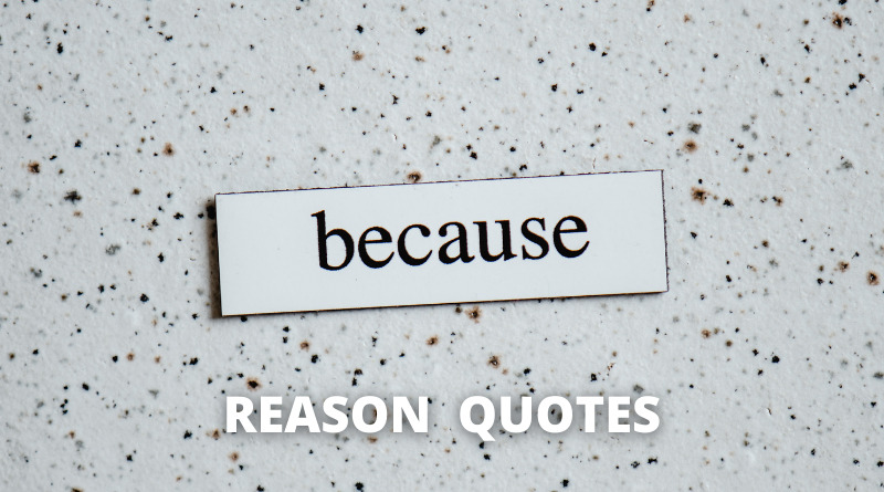 Reason Quotes Featured