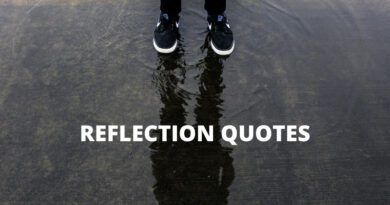 Reflection Quotes Featured