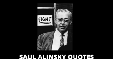 SAUL ALINSKY QUOTES FEATURED