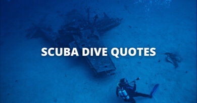 SCUBA DIVING QUOTES featured