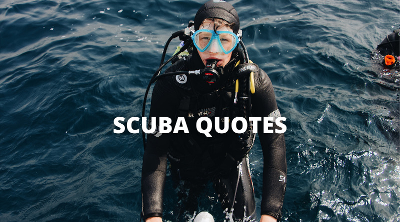 55 Scuba Quotes On Success In Life – OverallMotivation