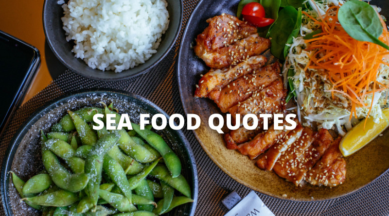SEAFOOD QUOTES featured