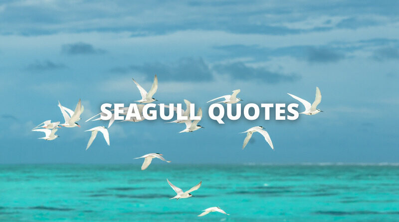 SEAGULL QUOTES featured