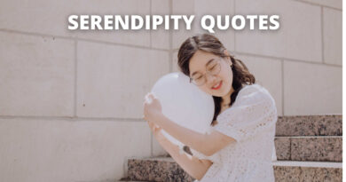 SERENDIPITY QUOTES FEATURE