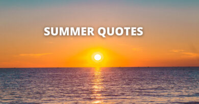 SUMMER QUOTES FEATURE