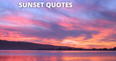 SUNSET QUOTES FEATURED