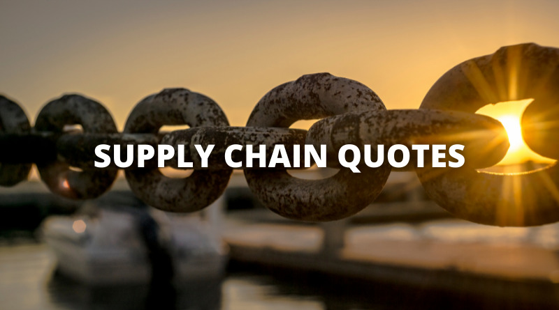SUPPLY CHAIN QUOTES featured