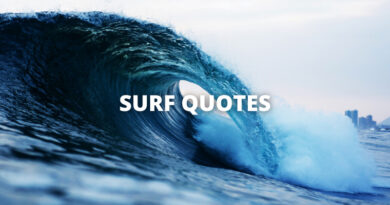SURF QUOTES featured