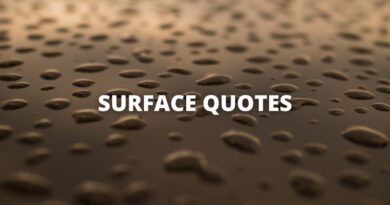 SURFACE QUOTES featured