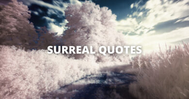 SURREAL QUOTES featured