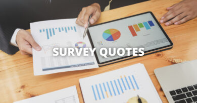 SURVEY QUOTES featured